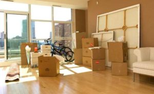 Изображение коробок