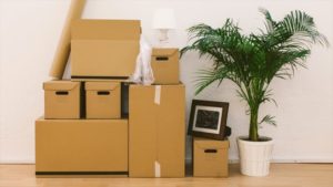 Фото переезда с растениями